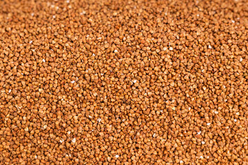 Fresh buckwheat background texture. Cereals and organic food concept