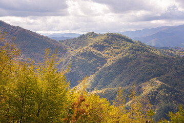 Mountains covered with colorful forest in autumn