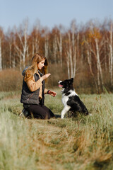 Girl training black and white border collie dog puppy - obrazy, fototapety, plakaty