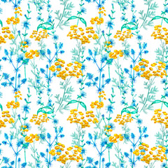 Fototapeta na wymiar Watercolor pattern with meadow flowers. Chicory, tansy, erythematous, eringium.