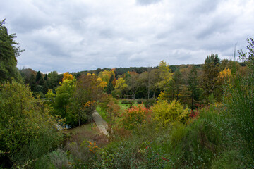 Autumn in cloudy overcast weather. Colorful trees, park in the city. Selective focus.