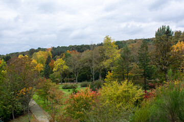 Autumn in cloudy overcast weather. Colorful trees, park in the city. Selective focus.