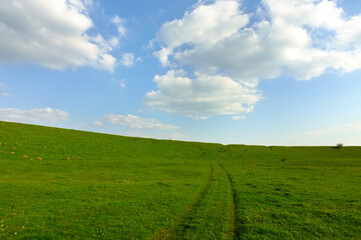 Fototapeta na wymiar field and blue sky with clouds background