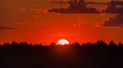 Sunset behind a coniferous forest against the sky with clouds in summer