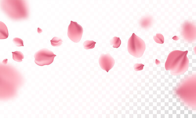 Sakura flying petals on transparent background