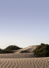 sand dunes in the desert