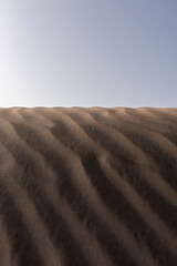 Naklejka premium sand dunes on the beach