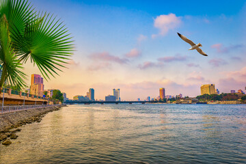 Downtown district in Cairo © zevana