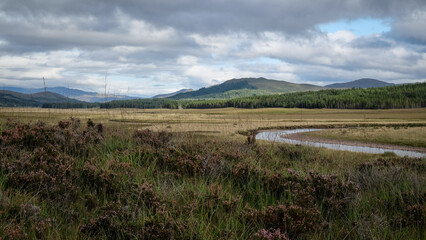 landscape with a river