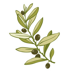 Olive tree branch with green fruits.Vector graphics.