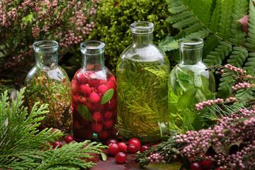 Obraz na płótnie Canvas Bottles of essential oil and infusion of herbs and berries - heather, thuja, cranberries, sage outside. Alternative herbal medicine. Aromatherapy. Selective focus on bottles.