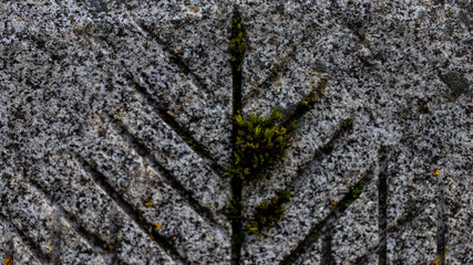 The surface of a stone or concrete block with grooves left after processing with a tool