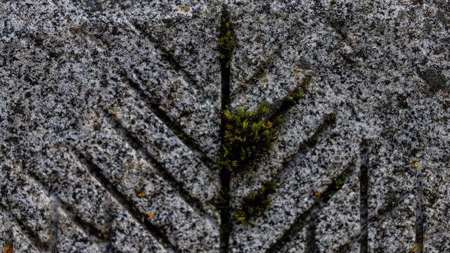 The surface of a stone or concrete block with grooves left after processing with a tool