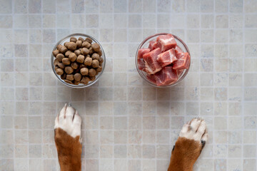 Bowls with dry food and fresh meat. The choice between natural and industrial dog food. healthy lifestyle.