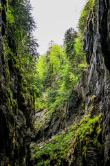 Meiringen, Aareschlucht, Schlucht, Aare, Felsen, Kalkstein, Haslital, Fluss, Wanderweg, Alpen, Berner Oberland, Frühling, Sommer, Schweiz