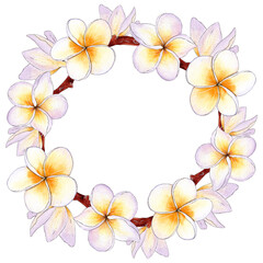 Watercolor wreath with plumeria flowers.