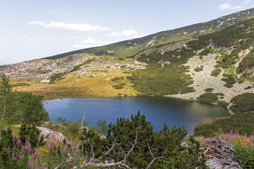 Fototapeta na wymiar Landscape of Rila Mountain near Yonchevo lake, Bulgaria
