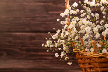 beautiful gypsophila flower frame on wooden background