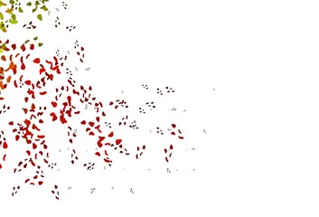 Light Green, Red vector backdrop with abstract shapes.