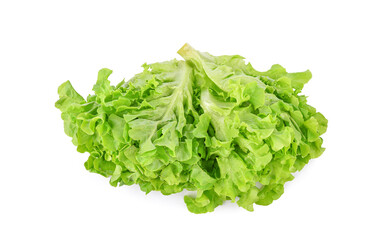 Green salad lettuce isolated on white background. Top view