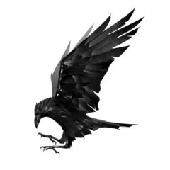 hand-drawn flying silhouette bird raven on white background