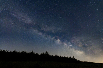 Fototapeta na wymiar Milky Way over Trees