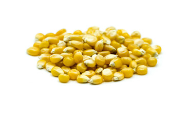 Dried corn kernels isolated on white background