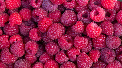 fresh jucy raspberry background berries at market