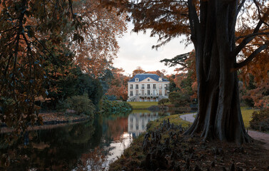 Fototapeta premium Arboretum of Wolves valley during the autumn - Chatenay Malabry, France.