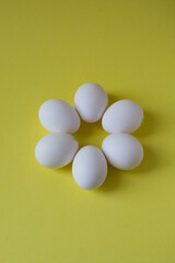 Chicken eggs on the yellow background