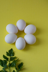 Chicken eggs on the yellow background