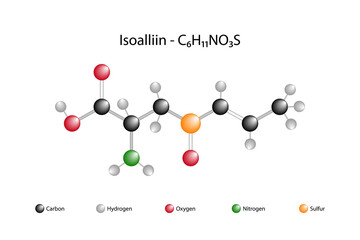 Molecular formula of isoalliin. Isoalliin is a sulfur-containing ingredient of the onion ( Allium cepa ), to which the typical odor and tear irritation.