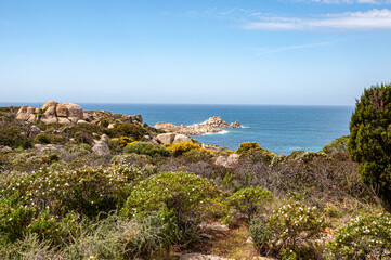 Blue sea or lake surrounded by plant on a sunny day