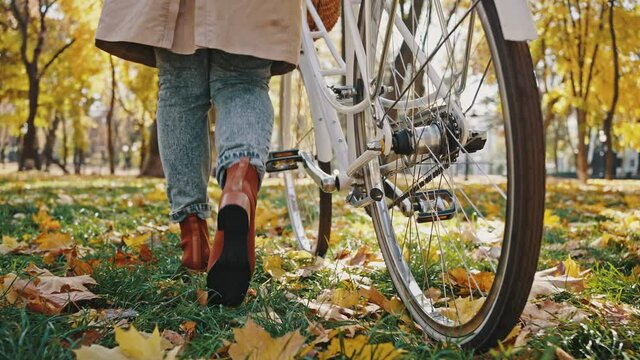 Legs of unknown woman walking rolling bike at autumn city park. Tracking shot, slow motion. Back view, close up