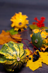 Autumn still life with a decorative green striped pumpkin in the foreground, with fallen leaves, pumpkins, berries in the background. Close-up.