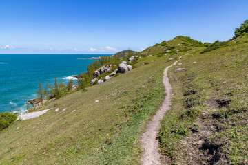 Trail over the cliffs with ocean in background