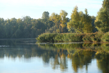 Fototapeta na wymiar Early autumn lake scenery with lush greenery in the morning