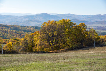 Autumn landscape of Cherna Gora (Monte Negro) mountain, Bulgaria