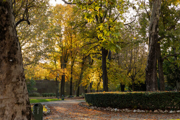 Naklejka premium Autumn in Turin, Piedmont, Italy