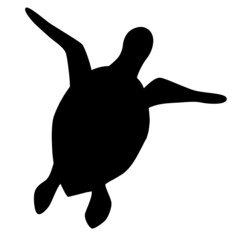 Black silhouette of a sea turtle isolated on a white background. View from above, top. Marine underwater animal. Logo, icon, symbol. Vector illustration. Black tortoise