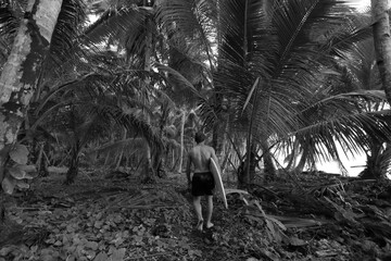 black and white photo of a surfer carrying a surfboard walking through a grove of palm trees by...