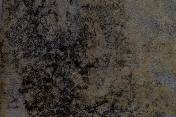 Closeup black mold on the concrete wall in the apartment.