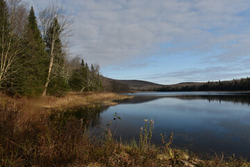 Fototapeta premium Country