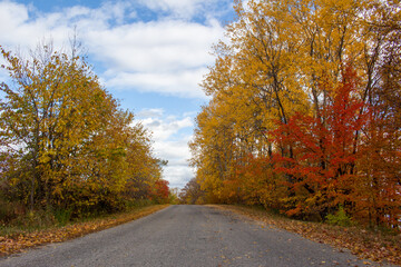 Fall Landscape Across Quebec, Canada