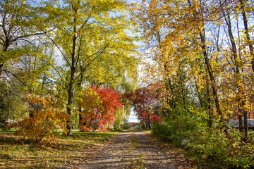 Obraz premium Fall Landscape Across Quebec, Canada