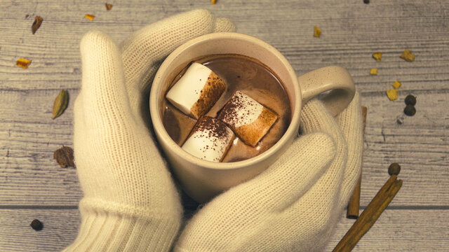 Canella Bilder – Durchsuchen 6,416 Archivfotos, Vektorgrafiken und ...