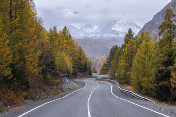 A road in a mountain valley surrounded by a forest of larch and fir trees against the backdrop of a mountain range in autumn. A car is driving in the foreground.
