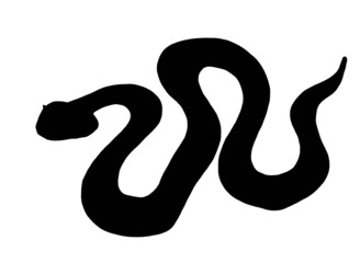 black silhouette of snake