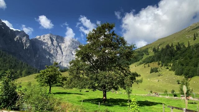 Eng Alm, Karwendel mountains in Tirol. European Alps Austria. 4K