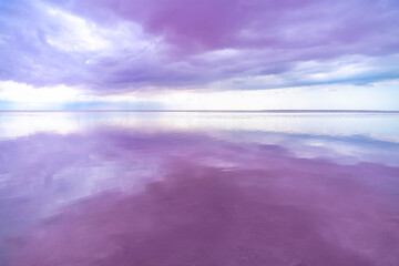 Obraz premium The coast of the pink lake. The pink color of the water gives the clouds a pinkish tint. Skyline.